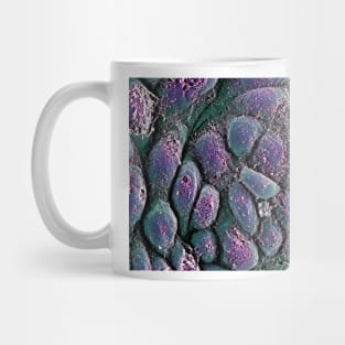 Embryonic stem cells, SEM (G442/0236) Mug